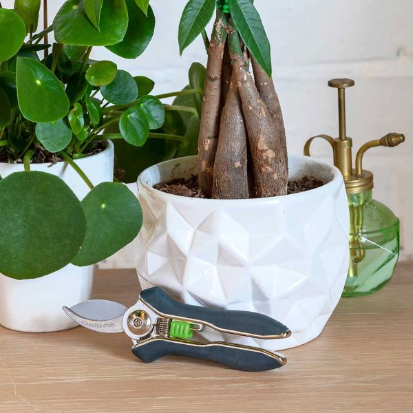 Houseplant Pruner - Image 3