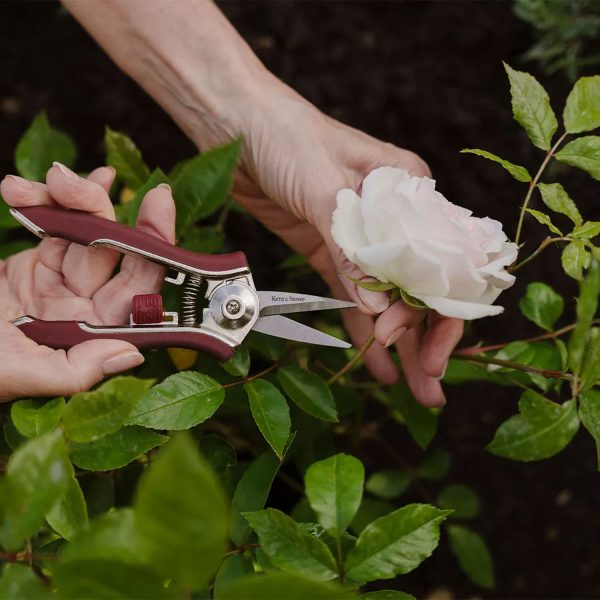 Kent and Stowe Garden Life Pruning Snips - Image 3