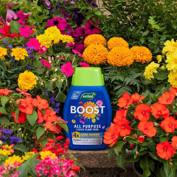 Westland Boost All Purpose Liquid Plant Feed 1L - Image 3